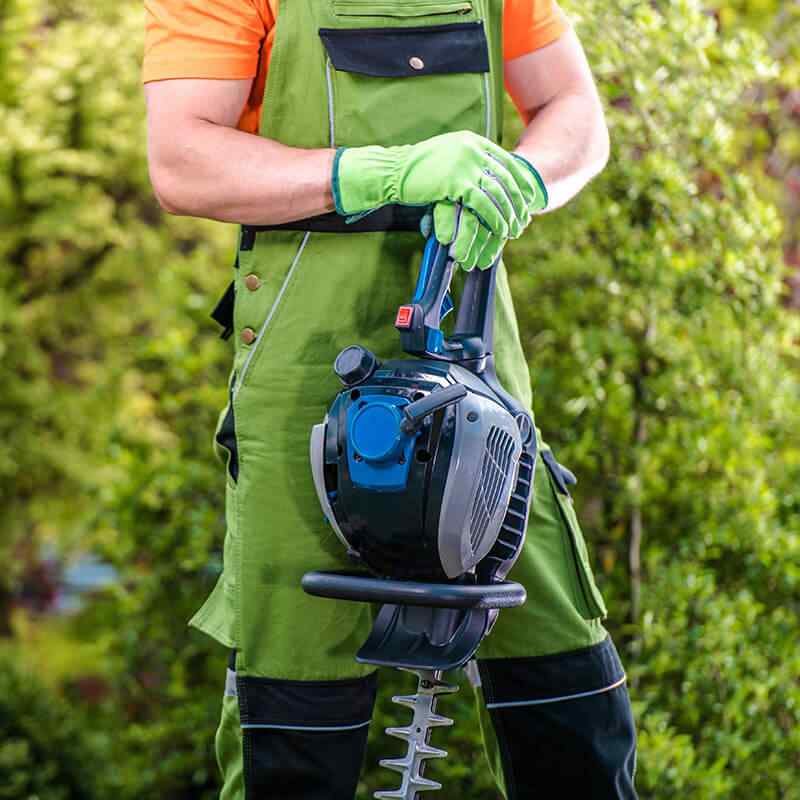 https://www.papayevillage.com/wp-content/uploads/2019/08/home_4_services.jpg