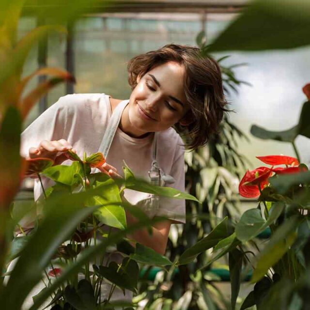 https://www.papayevillage.com/wp-content/uploads/2019/08/team_06-640x640.jpg