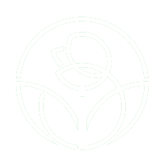 https://www.papayevillage.com/wp-content/uploads/2019/08/white_rose.png